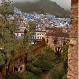 Garden and medina view of Chefchaouen during the 5 Days Tour from Casablanca