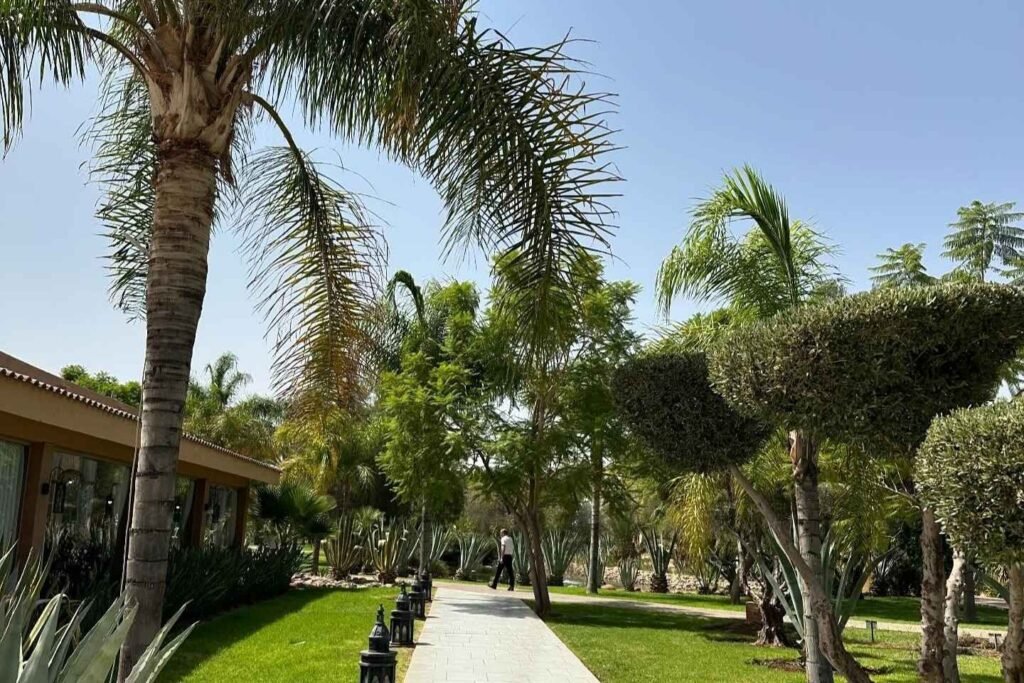 Palmeraie Resort Path – Best Area to Stay in Marrakech for Tranquility Peaceful garden walkway with palm trees in Palmeraie, a top area to stay in Marrakech for resort-style luxury