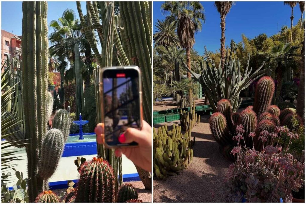 The vibrant blue and lush gardens of Jardin Majorelle, one of the most popular places to see in Marrakech, located about 15 minutes from the city center.