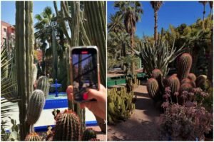 The vibrant blue and lush gardens of Jardin Majorelle, one of the most popular places to see in Marrakech, located about 15 minutes from the city center.