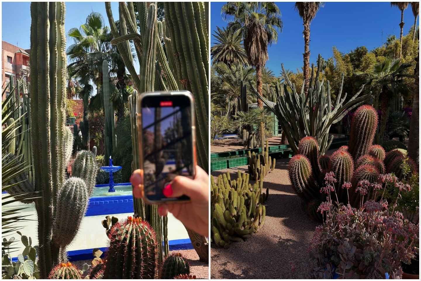 The vibrant blue and lush gardens of Jardin Majorelle, one of the most popular places to see in Marrakech, located about 15 minutes from the city center.