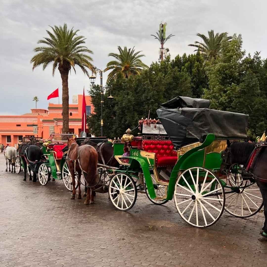 Horse-drawn carriages lined up near Jemaa El-Fnaa — a classic local experience to note in Marrakech practical travel tips